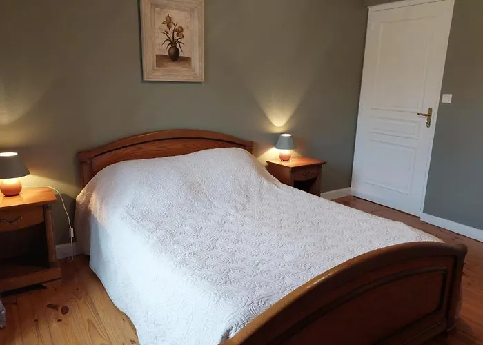 Grand 12 Personnes Proche Du Lioran Feriehus *