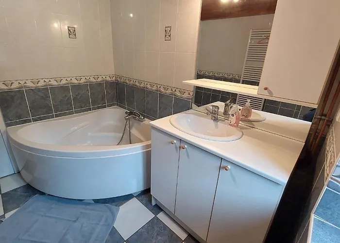 Grand 12 Personnes Proche Du Lioran *