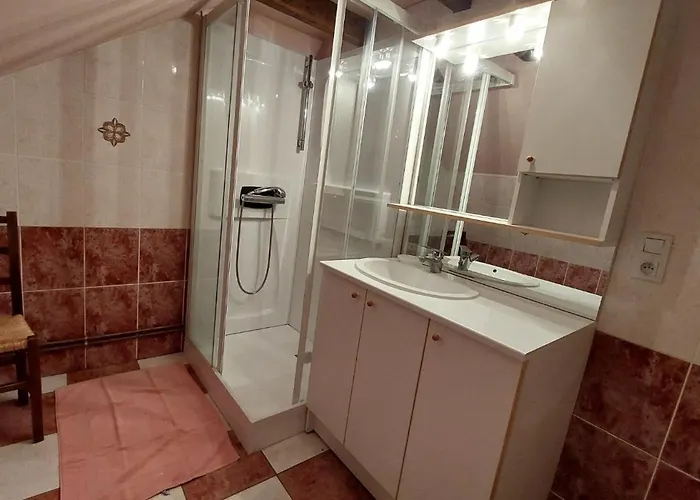 Grand 12 Personnes Proche Du Lioran *